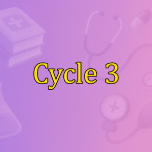 Cycle 3