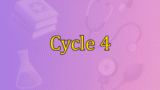 Cycle 4